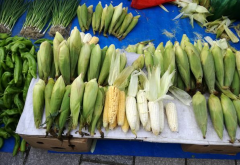 农贸市场业态规划要点分析